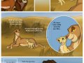 the_new_prince_p79_by_savu0211-d4gftj2.jpg